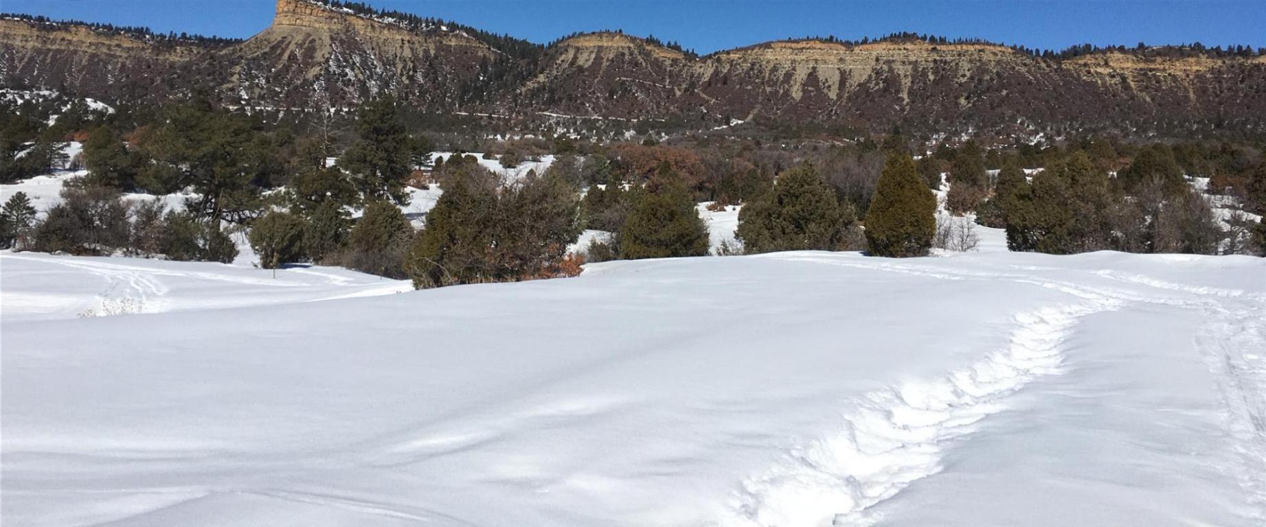 Hwy 64 W Victoria's Tract, Chama, NM 87520