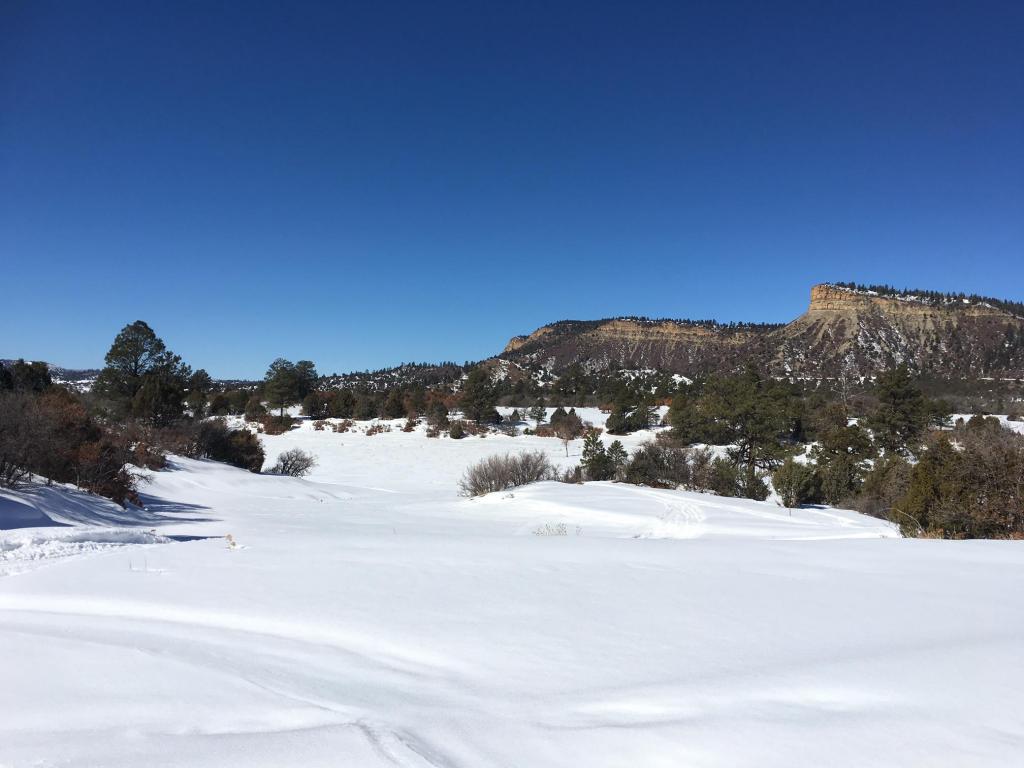 Hwy 64 W Victoria's Tract, Chama, NM 87520
