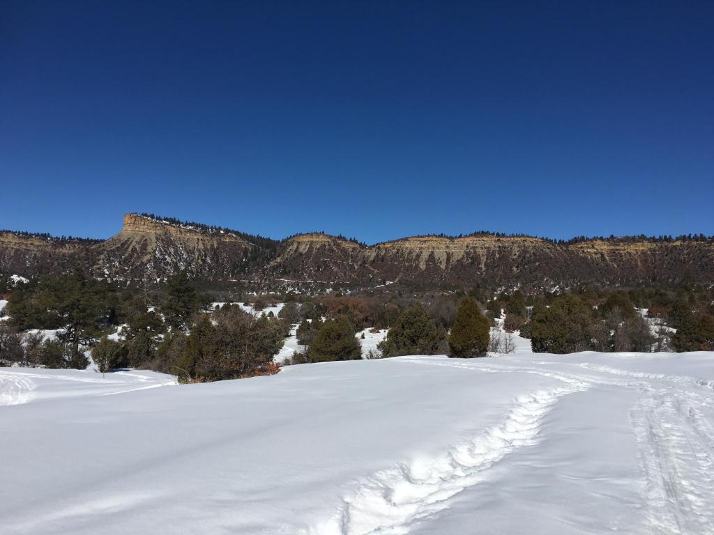 Hwy 64 W Victoria's Tract, Chama, NM 87520