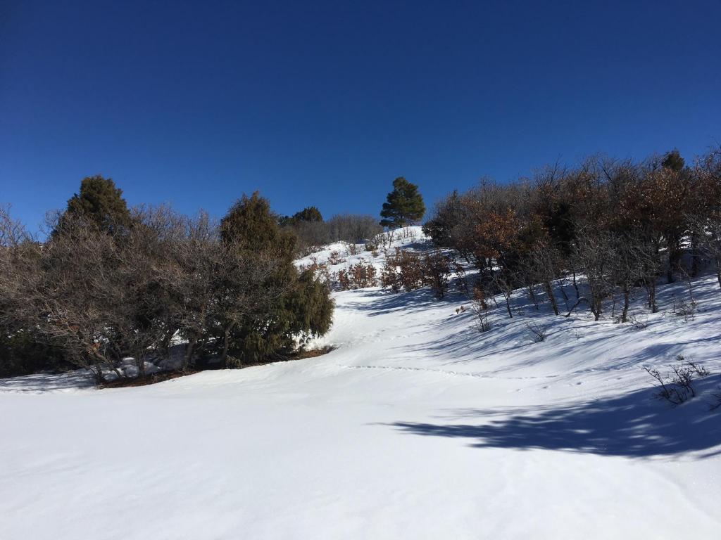 Hwy 64 W Victoria's Tract, Chama, NM 87520