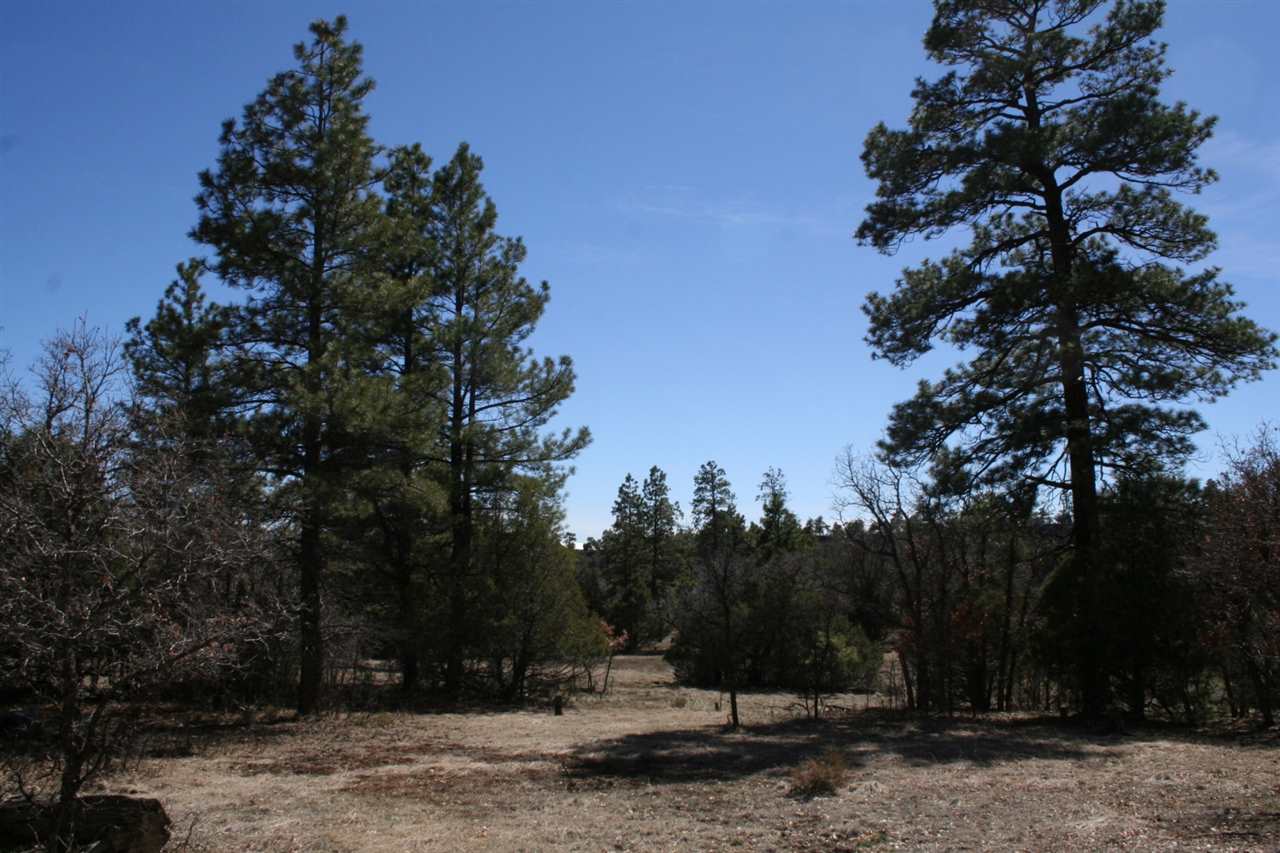 Lot 58 Lujan Drive Laguna Vista, Chama, NM 87520
