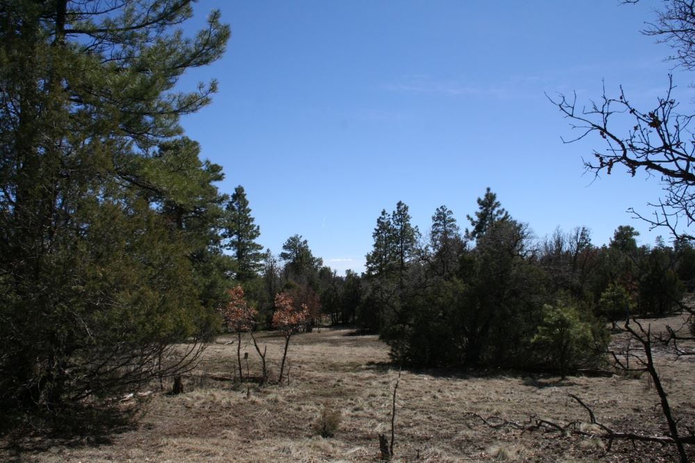 Lot 58 Lujan Drive Laguna Vista, Chama, NM 87520
