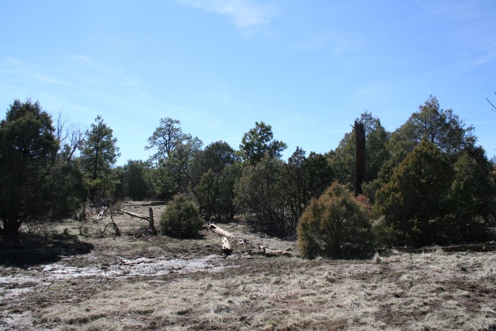 Lot 58 Lujan Drive Laguna Vista, Chama, NM 87520