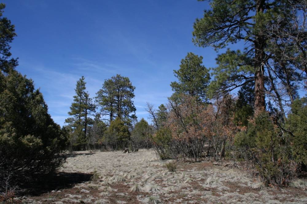 Lot 58 Lujan Drive Laguna Vista, Chama, NM 87520