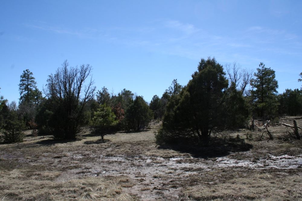 Lot 58 Lujan Drive Laguna Vista, Chama, NM 87520