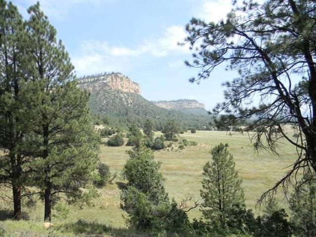 Lot 2-B Diamante Acres, Chama, NM 87520
