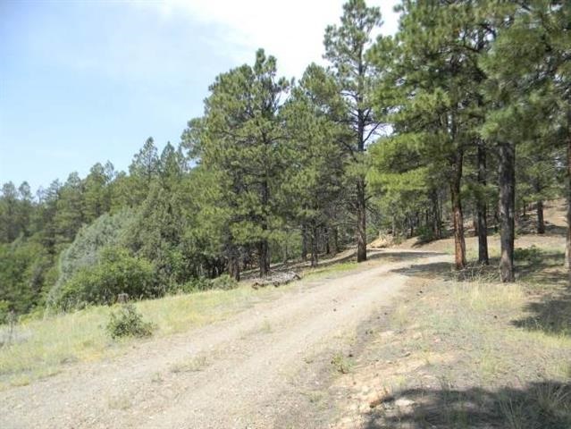 Lot 2-B Diamante Acres, Chama, NM 87520