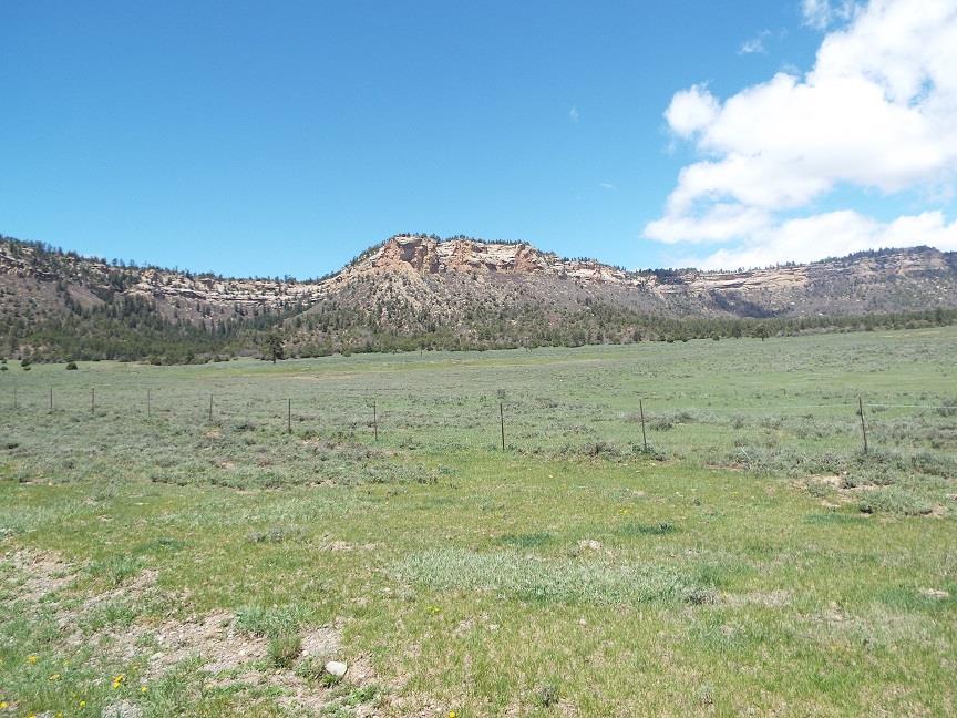 Lot 2-B Diamante Acres, Chama, NM 87520