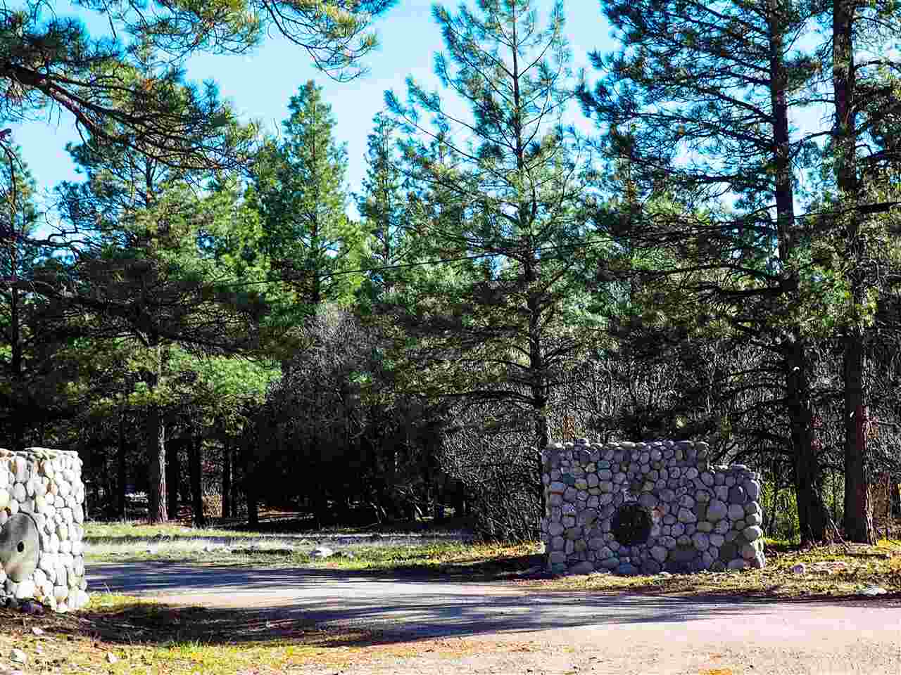 36A St Rd 1751, Chama, NM 87520