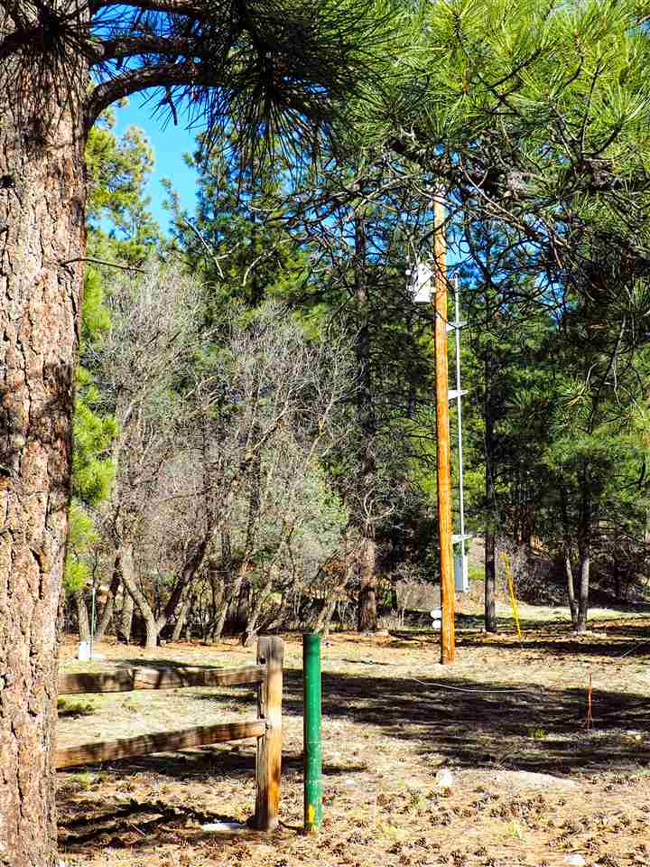 36A St Rd 1751, Chama, NM 87520