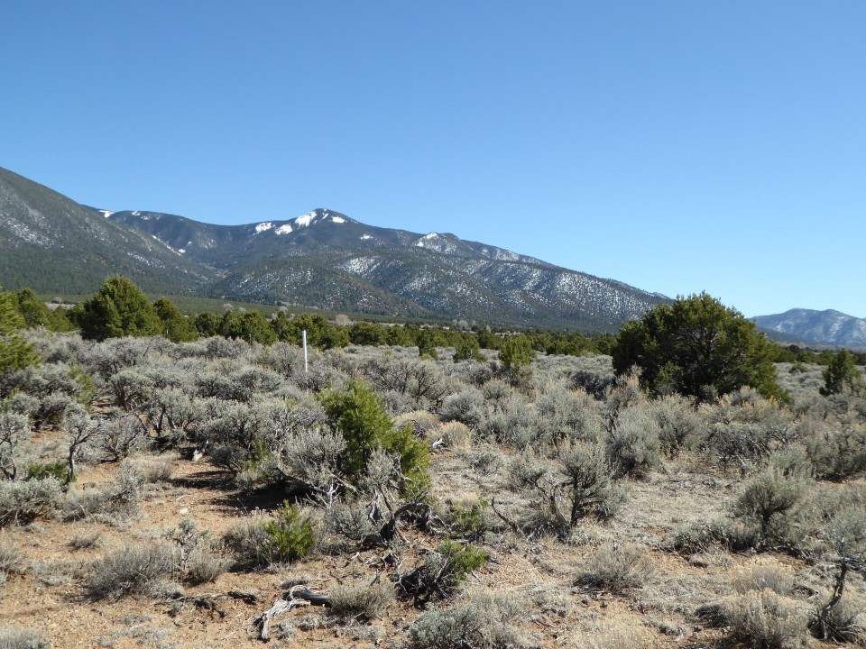Tract A-2, A-3 Near El Rito Road, El Rito, NM 87530