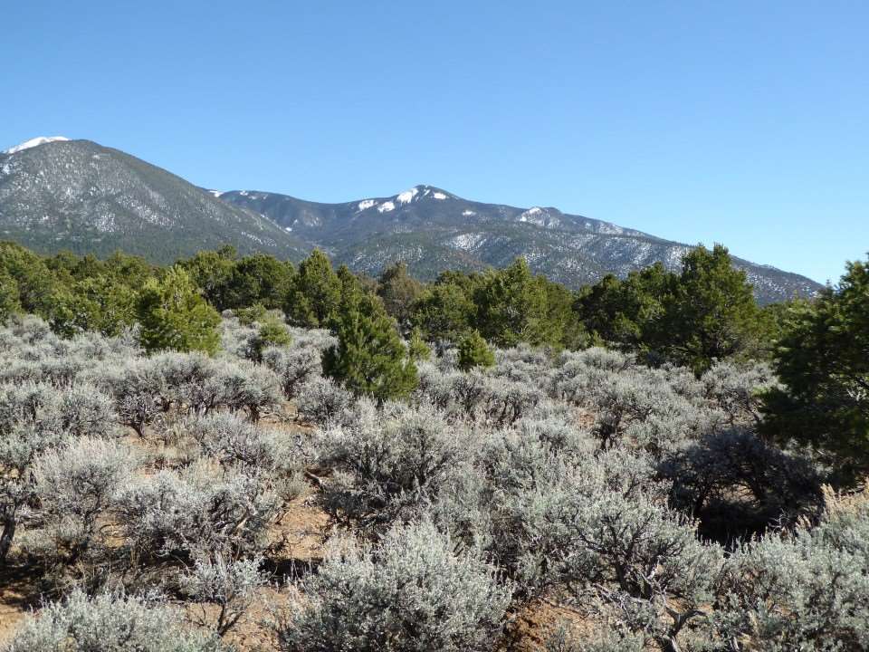 Tract A-2, A-3 Near El Rito Road, El Rito, NM 87530