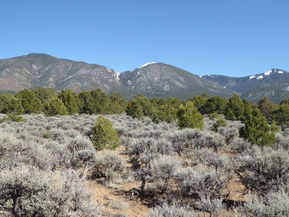 Tract A-2, A-3 Near El Rito Road, El Rito, NM 87530