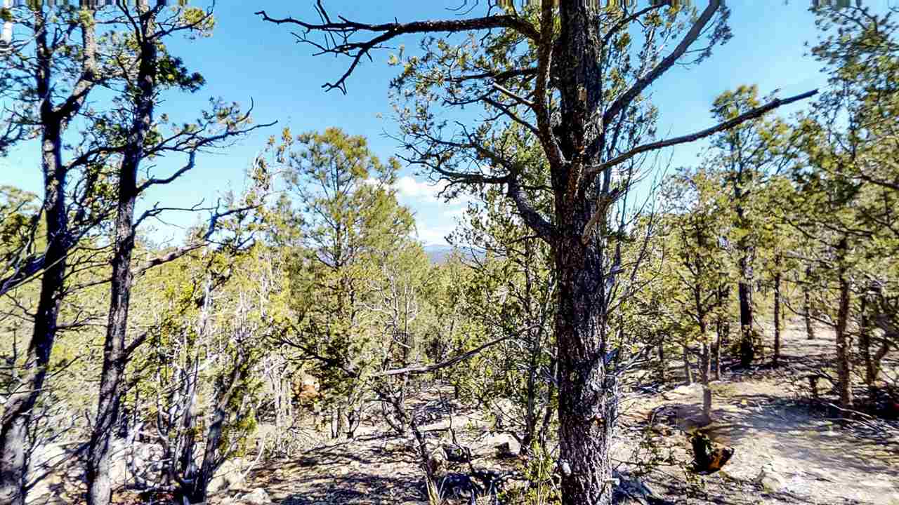 7B Cicuye Road, Pecos, NM 87535
