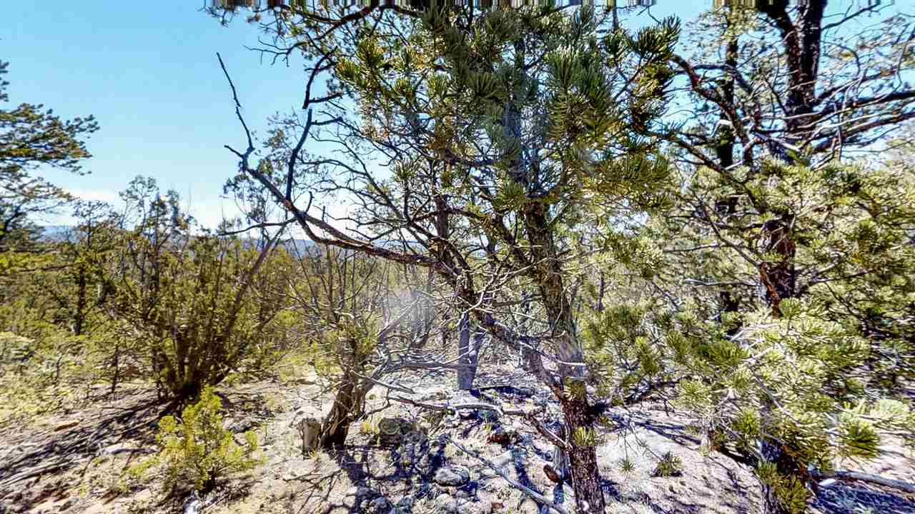 7B Cicuye Road, Pecos, NM 87535