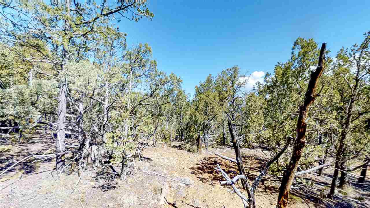 7B Cicuye Road, Pecos, NM 87535