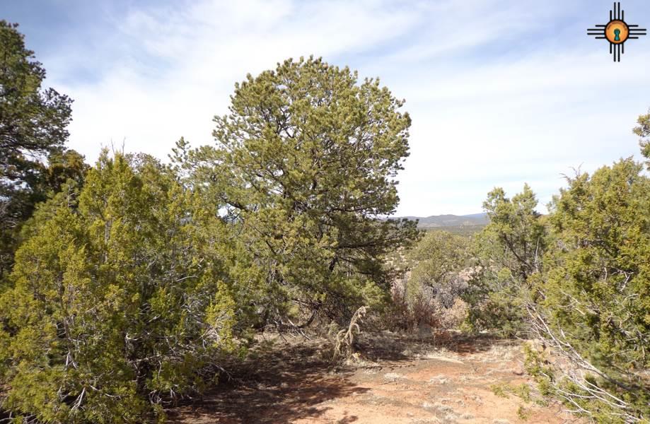 39 Rim Rd, Ilfeld, NM 87538