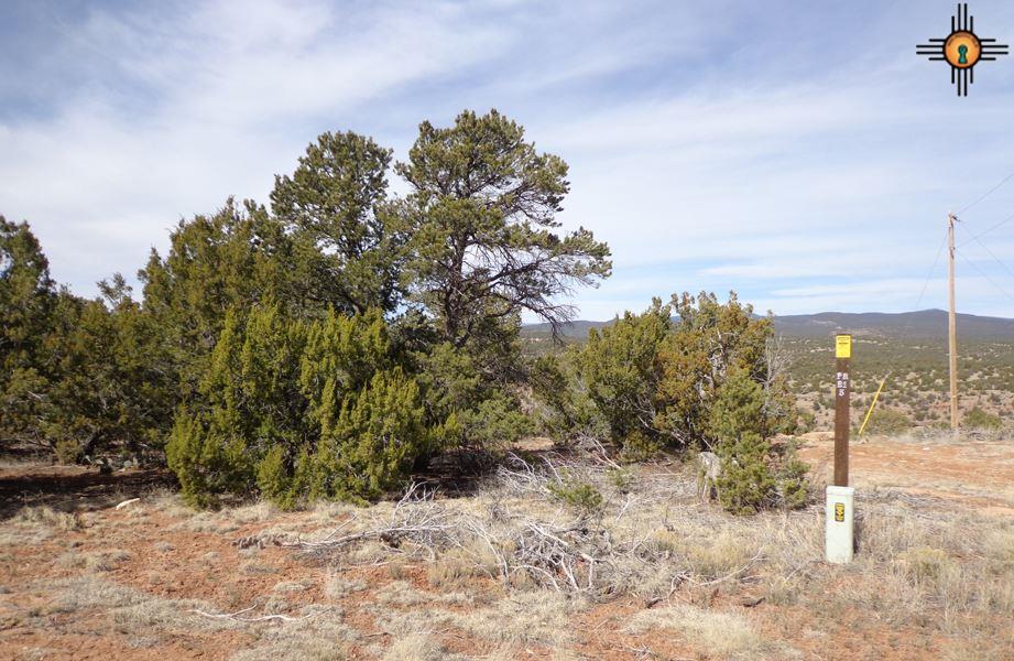 39 Rim Rd, Ilfeld, NM 87538