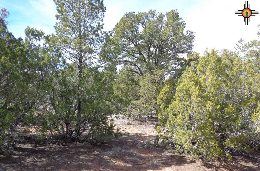 39 Rim Rd, Ilfeld, NM 87538