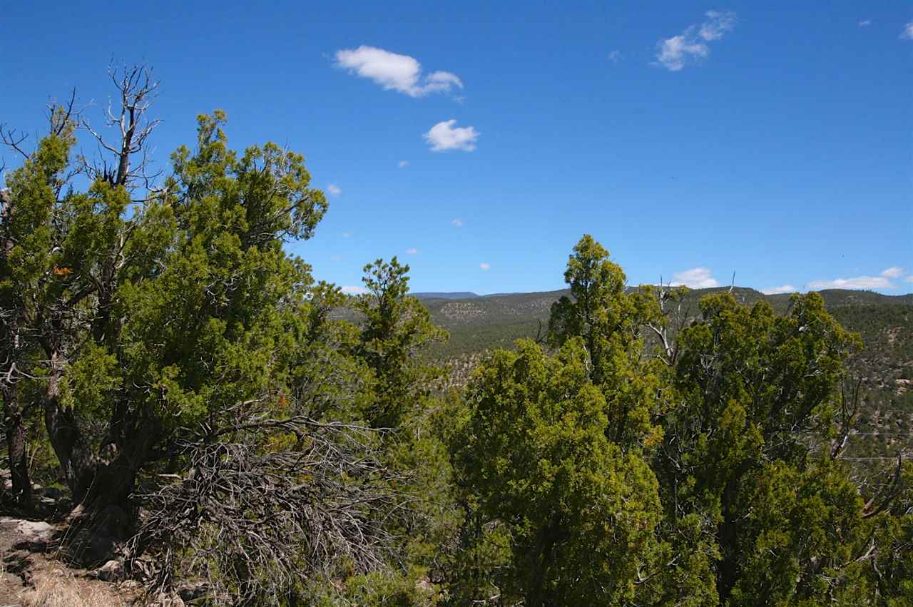 M1 Hidden Valley Ranch Road, San Ysidro, NM 87538