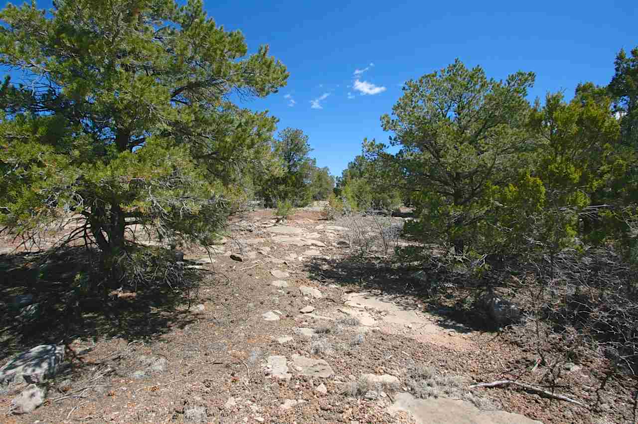 M1 Hidden Valley Ranch Road, San Ysidro, NM 87538