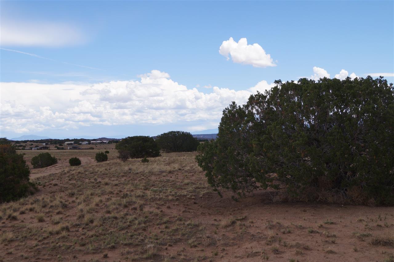 3 lots Cactus &amp; Indian Ridge Blvd, Medanales, NM 87548