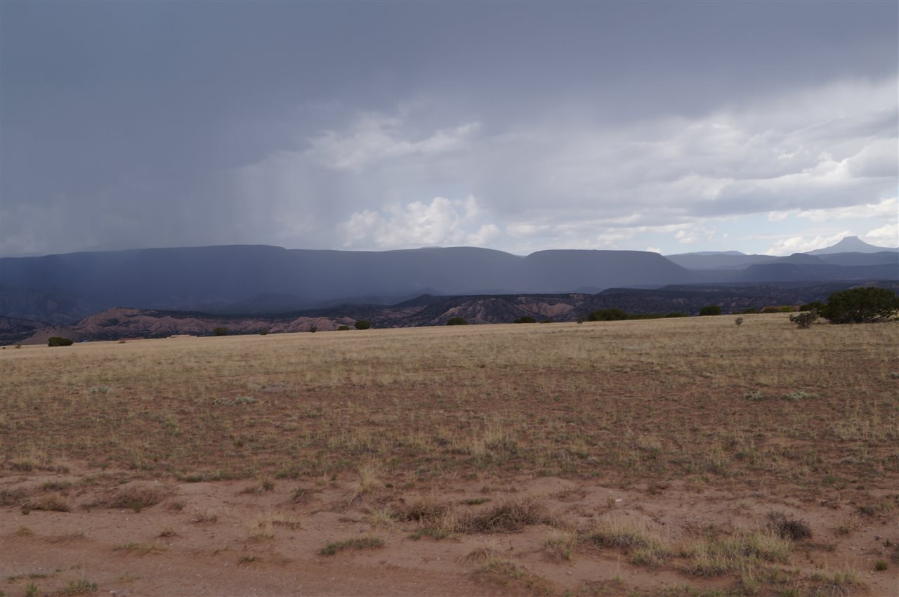 3 lots Cactus & Indian Ridge Blvd, Medanales, NM 87548