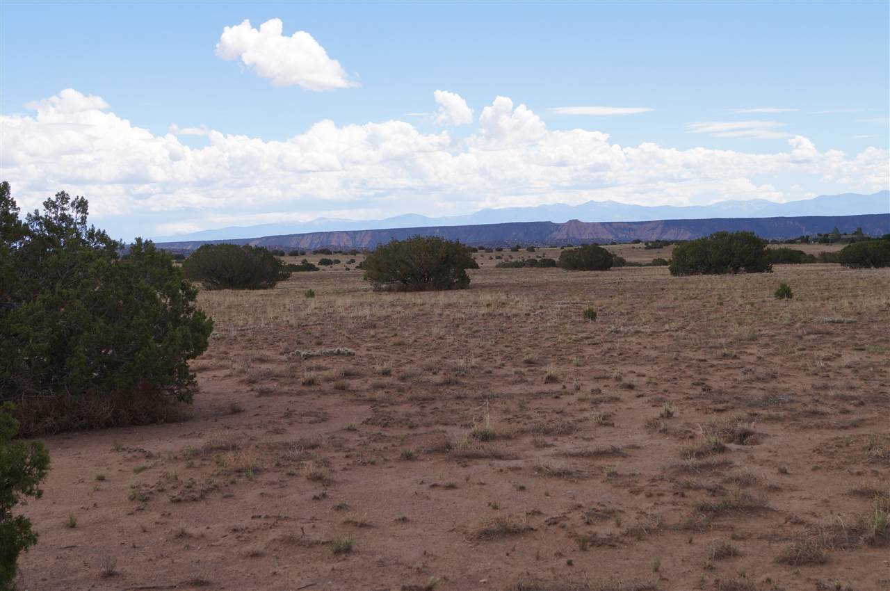 3 lots Cactus & Indian Ridge Blvd, Medanales, NM 87548