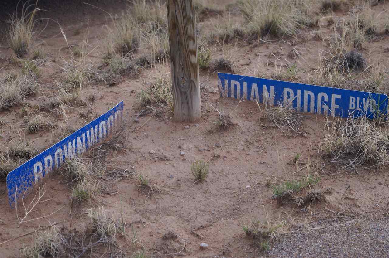 3 lots Cactus & Indian Ridge Blvd, Medanales, NM 87548