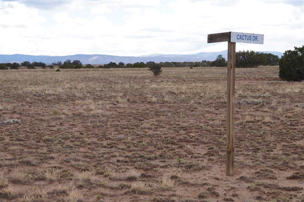 3 lots Cactus & Indian Ridge Blvd, Medanales, NM 87548