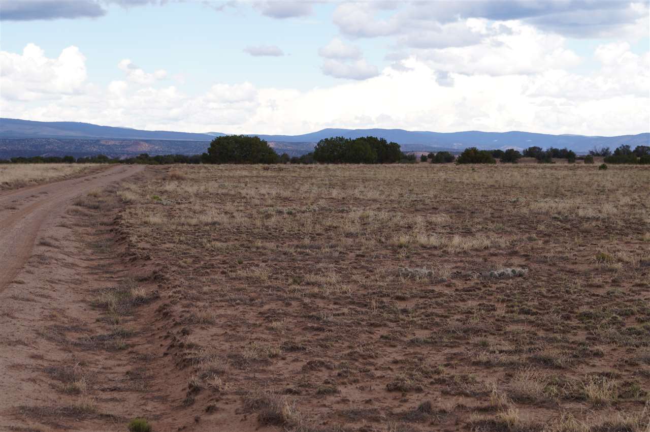 3 lots Cactus & Indian Ridge Blvd, Medanales, NM 87548