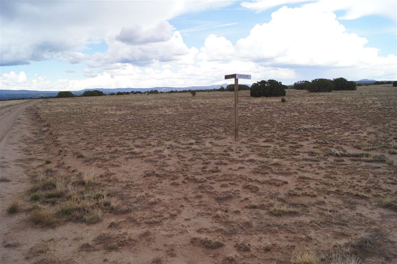 3 lots Cactus & Indian Ridge Blvd, Medanales, NM 87548