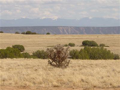 Lot 1-A Indian Ridge Estates, Lot 1-A, Medanales, NM 87548