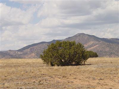 Lot 1-A Indian Ridge Estates, Lot 1-A, Medanales, NM 87548