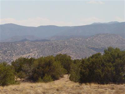 Lot 1-A Indian Ridge Estates, Lot 1-A, Medanales, NM 87548