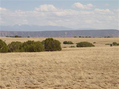 Lot 1-A Indian Ridge Estates, Lot 1-A, Medanales, NM 87548