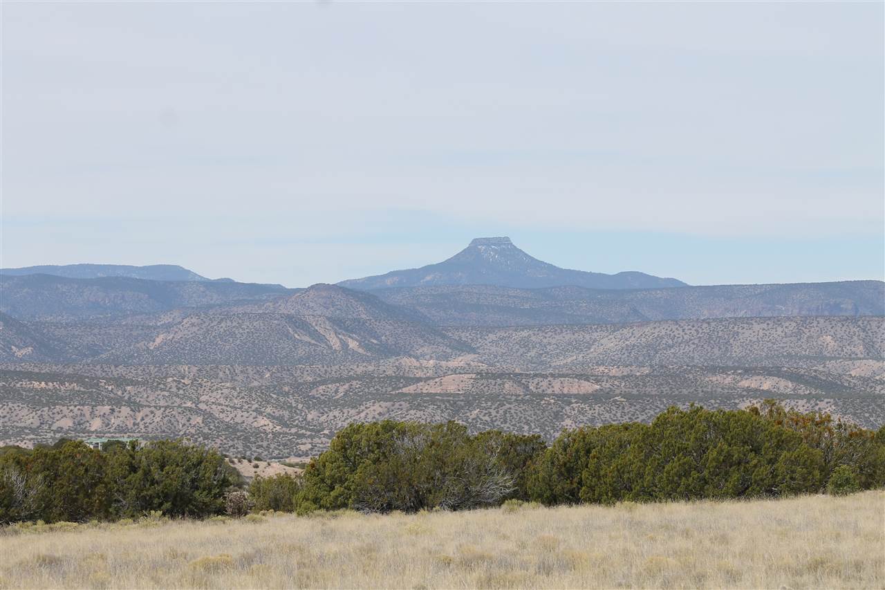 123-8 INDIAN RIDGE BOULEVARD, Medanales, NM 87548