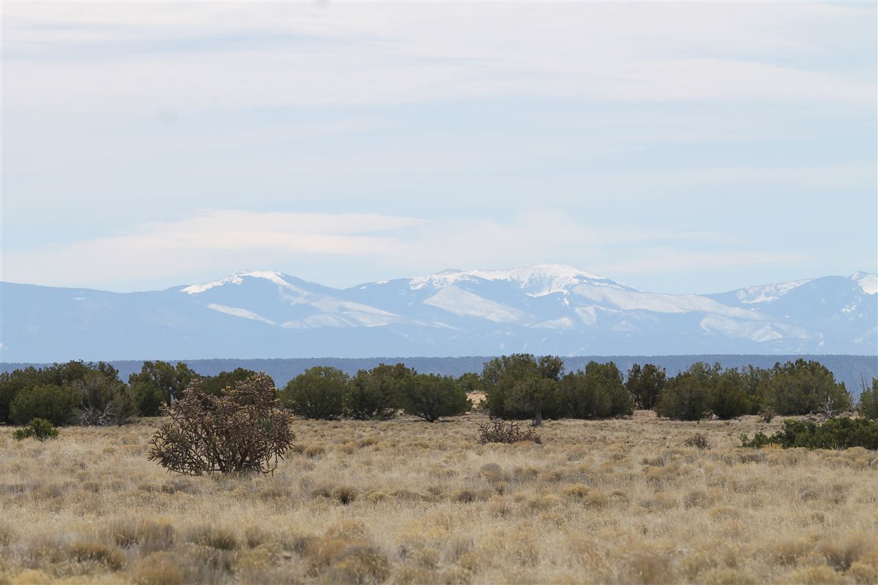 123-8 INDIAN RIDGE BOULEVARD, Medanales, NM 87548