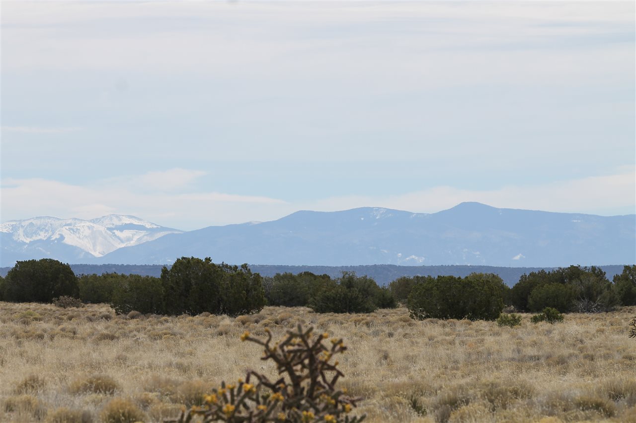 123-8 INDIAN RIDGE BOULEVARD, Medanales, NM 87548
