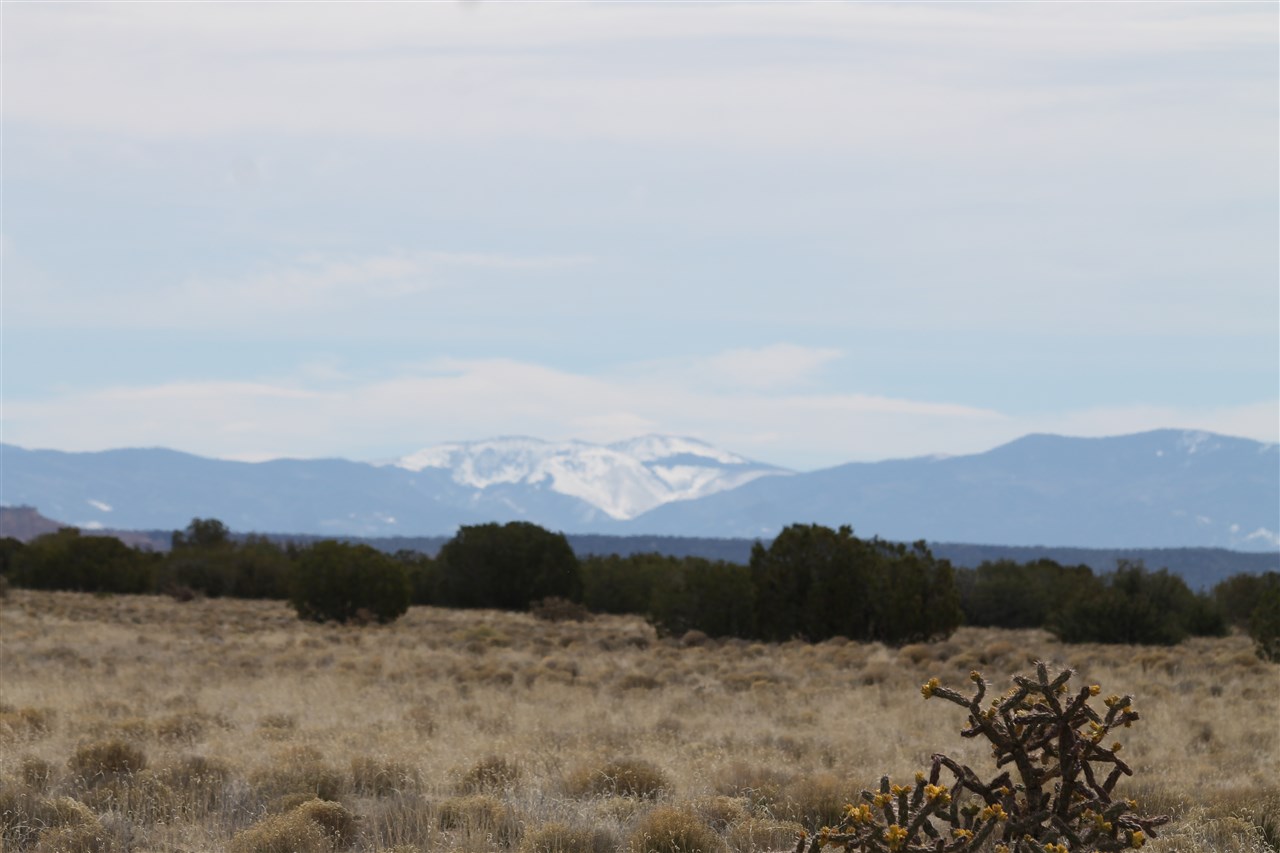 123-8 INDIAN RIDGE BOULEVARD, Medanales, NM 87548