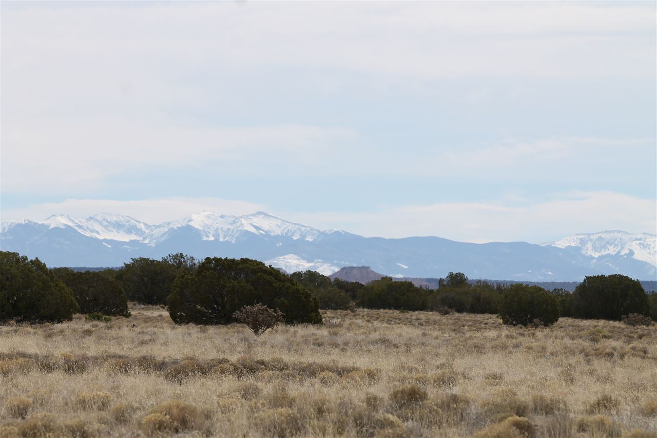 123-8 INDIAN RIDGE BOULEVARD, Medanales, NM 87548