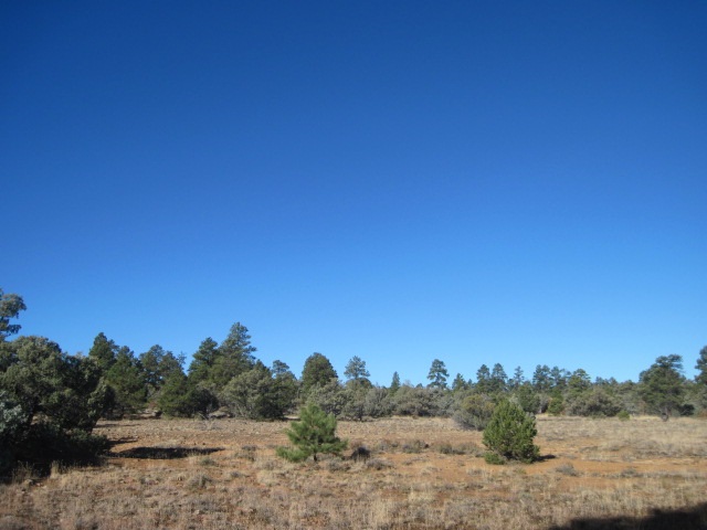 Tract 15 North, Camino Thomas, Rutheron, NM 87551