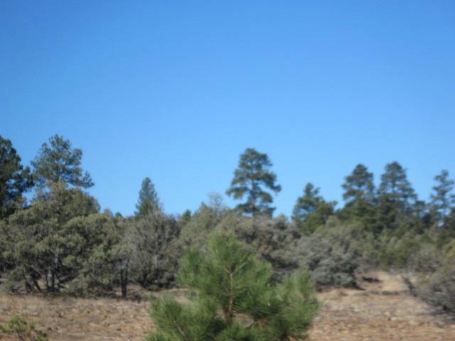 Tract 15 North, Camino Thomas, Rutheron, NM 87551