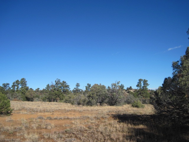 Tract 15 North, Camino Thomas, Rutheron, NM 87551