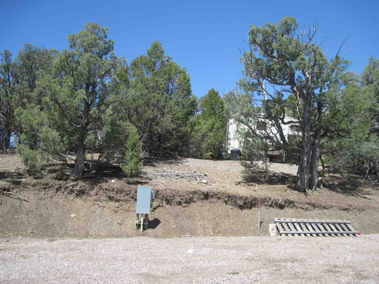 Lot 14 Blk 11 #25 Christy Lane, Rutheron, NM 87551
