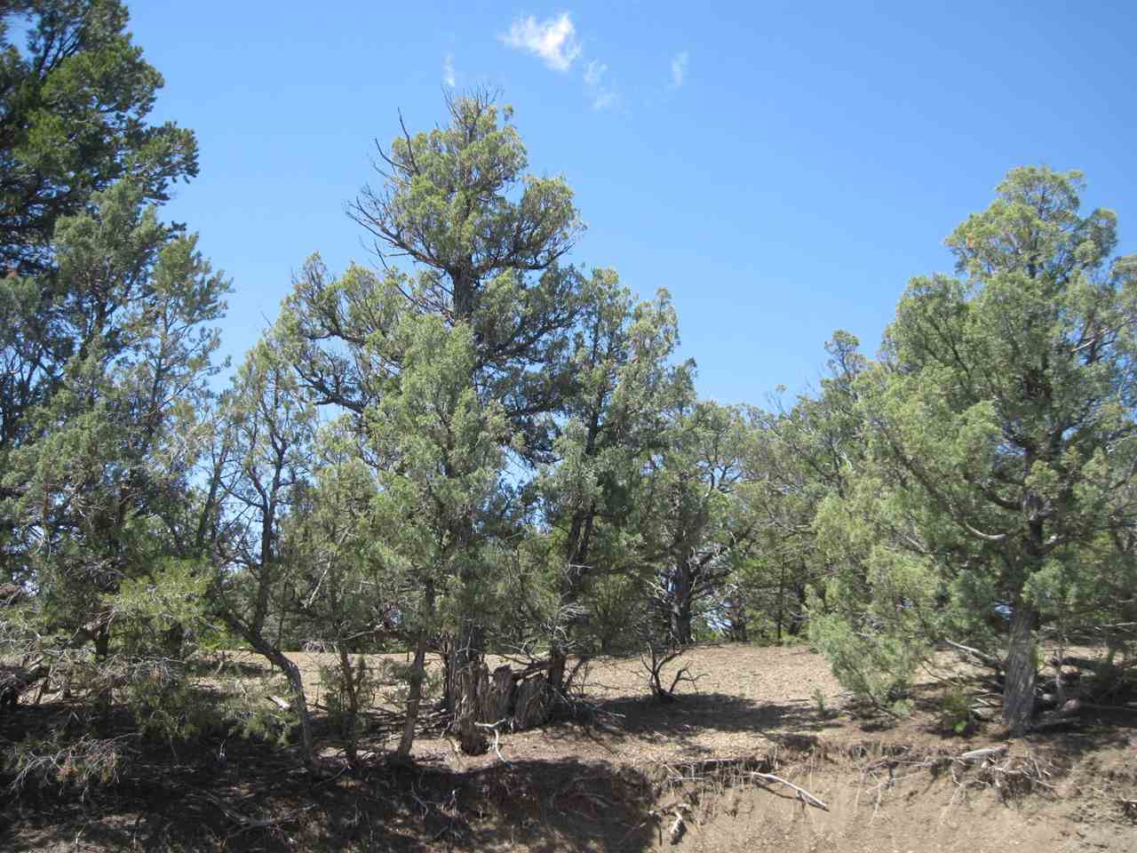 Lot 14 Blk 11 #25 Christy Lane, Rutheron, NM 87551