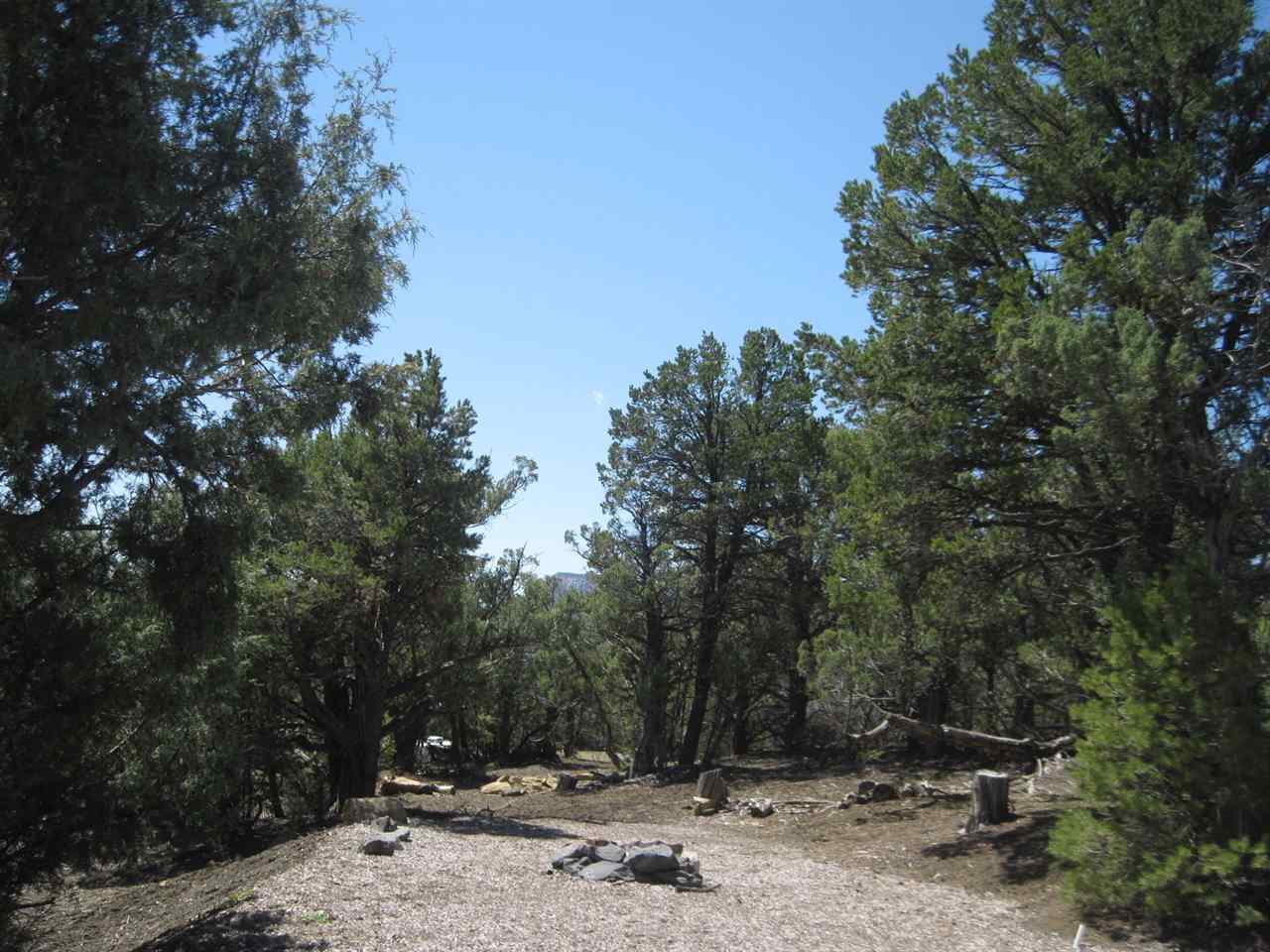 Lot 14 Blk 11 #25 Christy Lane, Rutheron, NM 87551
