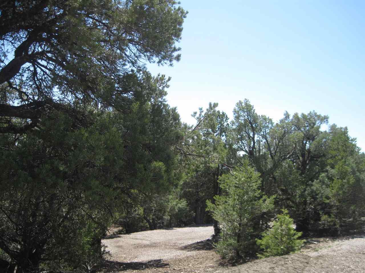 Lot 14 Blk 11 #25 Christy Lane, Rutheron, NM 87551
