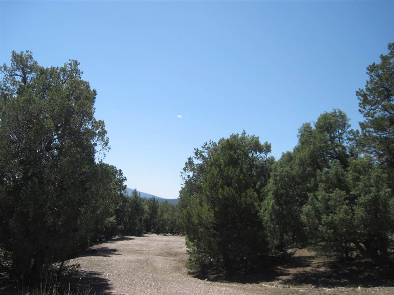 Lot 14 Blk 11 #25 Christy Lane, Rutheron, NM 87551
