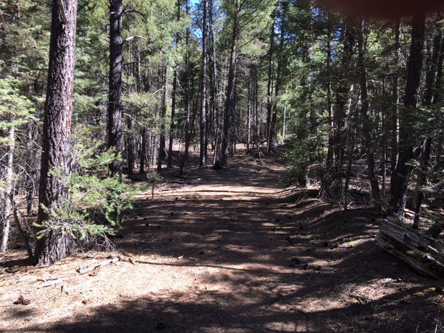 Sawyer Mesa NM Highway 63, Pecos, NM 87552